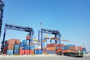 Hải An (HAH) xem xét điều chỉnh mục tiêu kinh doanh năm 2025