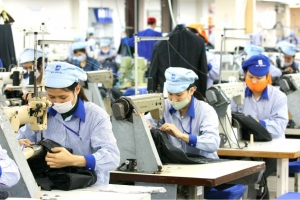 Thách thức và cơ hội cho doanh nghiệp Việt trước yêu cầu thẩm định chuỗi cung ứng EU
