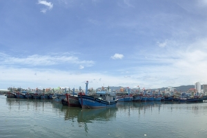 Cà Mau quyết liệt gỡ “thẻ vàng” IUU