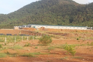 Quảng Trị: Phạt doanh nghiệp nuôi lợn 320 triệu đồng do hoạt động chưa có giấy phép môi trường