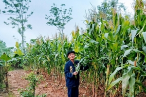 Huế: Chủ tịch UBND thành phố tổ chức đối thoại với nông dân
