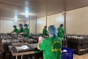 Đẩy mạnh chuyển đổi số, nâng cao năng lực cạnh tranh cho hợp tác xã tại Quảng Trị