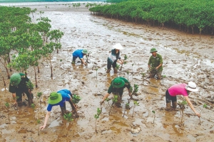 Các nhiệm vụ thích ứng biến đổi khí hậu của ngành nông nghiệp và môi trường