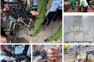 Hải Phòng: Phát hiện 8 vụ việc vi phạm về kinh tế, môi trường và vệ sinh an toàn thực phẩm