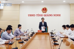 UBND tỉnh Quảng Ninh quán triệt, triển khai kế hoạch nâng cao chất lượng đô thị, khu dân cư