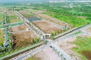 Sau một năm "sốt" đất, thị trường đất đấu giá hạ nhiệt