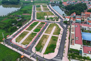 Nghị định 50/2026/NĐ-CP: Quy định chi tiết trình tự, thủ tục miễn, giảm tiền thuê đất từ 31/1