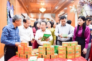 Thúc đẩy kinh tế Hợp tác xã phát triển bền vững, tạo động lực cho nông thôn mới Nghệ An
