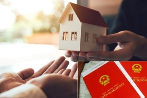 Tách sổ đỏ cho con: Những thay đổi quan trọng năm 2025