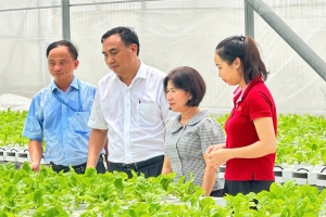 TP. HCM: Đẩy mạnh phát triển nông nghiệp công nghệ cao, hướng tới nền nông nghiệp hiện đại và bền vững