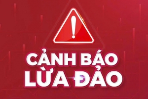 Đại học Y Hà Nội cảnh báo tình trạng giả mạo nhà trường