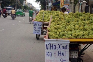 Trái cây nhập khẩu giá "sốc", nhập nhèm nguồn gốc - 87% hàng ngoại ở chợ đầu mối là từ Trung Quốc