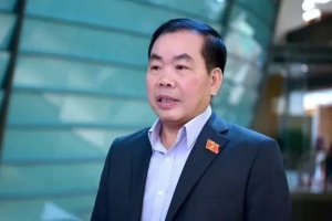 Nhận thức của doanh nghiệp về chuyển đổi kép đã thay đổi rõ rệt