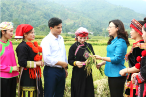 Phát huy vai trò “cầu nối vững chắc” giữa Đảng, chính quyền và Nhân dân