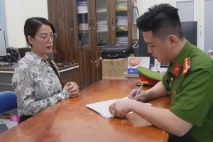 Vì sao nữ diễn viên Trương Ngọc Ánh bị bắt giữ?