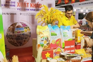 Hà Nội nỗ lực nâng cao chỉ số thực thi hiệp định thương mại tự do