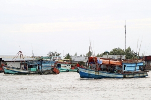 Cà Mau chỉ đạo đẩy nhanh tiến độ đăng ký tàu cá và cấp giấy phép khai thác thủy sản