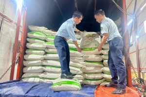 Tạm giữ 5 tấn đường cát trắng không hóa đơn, chứng từ