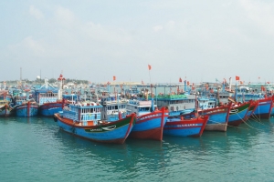 Hải Phòng ban hành Kế hoạch hành động Tháng cao điểm chống khai thác IUU