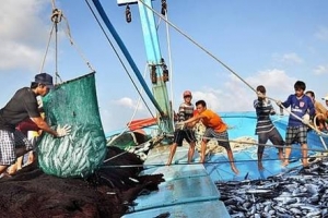 Tây Ninh triển khai tháng cao điểm chống khai thác hải sản bất hợp pháp