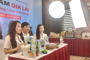 Gia Lai nâng cao năng lực cạnh tranh cho các đặc sản địa phương