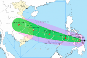 TP. HCM chủ động ứng phó với bão Kalmaegi