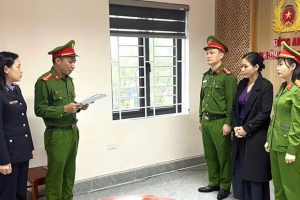 Hà Tĩnh: Bắt đối tượng lừa góp vốn mua đất để chiếm đoạt tài sản
