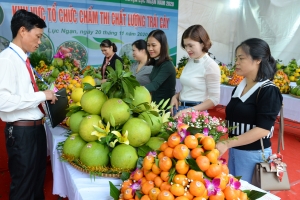 Lễ hội trái cây Bắc Ninh 2025 diễn ra từ ngày 5 đến 10/12/2025