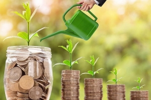 Loạt doanh nghiệp chuẩn bị trả cổ tức tiền mặt 20–30% trong nửa đầu tháng 11
