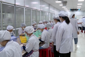 Ninh Bình tăng cường bảo đảm an toàn thực phẩm học đường và bếp ăn tập thể