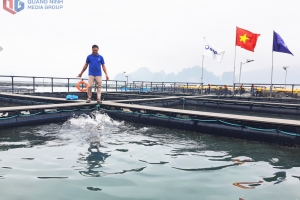 Quảng Ninh hướng tới ứng dụng AI trong xử phạt vi phạm lĩnh vực thuỷ sản