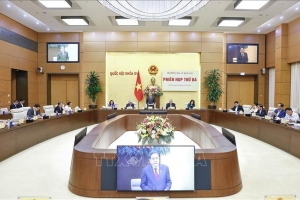 Tuyệt đối không để xảy ra sai sót ảnh hưởng đến quyền bầu cử, ứng cử