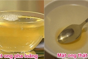Chuyên gia mách mẹo phân biệt mật ong rừng thật – giả đơn giản ngay tại nhà