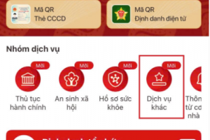 Đột phá trên VNeID: Hướng dẫn tích hợp Giấy chứng nhận quyền sử dụng đất cho cơ quan Nhà nước