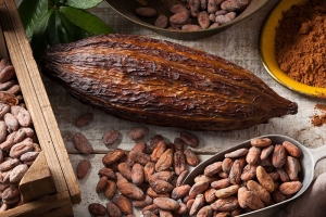 Ca-cao rớt giá, ngô phục hồi nhẹ