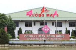 May Sông Hồng (MSH) sắp tạm ứng cổ tức, gia đình Chủ tịch Bùi Đức Thịnh dự thu gần 200 tỷ đồng