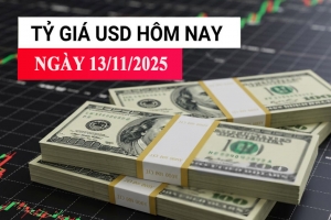 Tỷ giá USD hôm nay 13/11: Đồng bạc xanh phục hồi, chỉ số DXY đạt 99,67 điểm