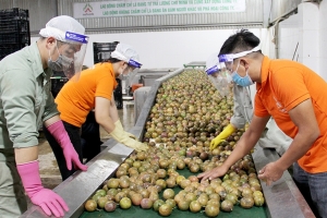 Bộ Công Thương khuyến cáo doanh nghiệp cập nhật quy định mới của Trung Quốc về xuất khẩu thực phẩm