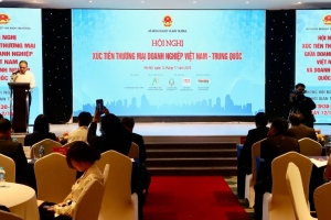 Thúc đẩy hợp tác nông sản Việt Nam – Trung Quốc theo hướng hiện đại và bền vững