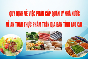 Lào Cai phân cấp quản lý nhà nước về an toàn thực phẩm