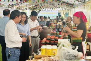 Thanh Hóa khai mạc Phiên chợ thực phẩm an toàn 2025