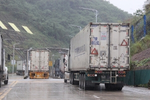2.196 lượt doanh nghiệp tham gia hoạt động xuất nhập khẩu qua cửa khẩu Tân Thanh