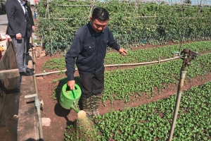 Nông dân Mê Linh hào hứng trải nghiệm chế phẩm hữu cơ - Triển vọng về nông nghiệp xanh bền vững