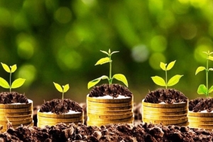 Một doanh nghiệp KCN chốt quyền cổ tức 20% sau khi báo lãi lớn