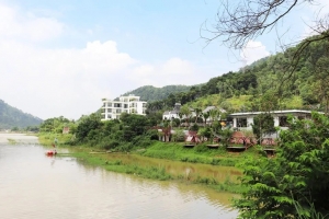 Hà Nội: Yêu cầu hoàn thành rà soát hiện trạng rừng trong tháng 12/2025