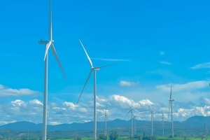 Gia Lai phê duyệt chủ trương đầu tư dự án Nhà máy điện gió Hòn Trâu