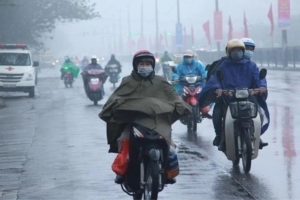 Ninh Bình chủ động ứng phó rét đậm, rét hại và gió mạnh trên biển