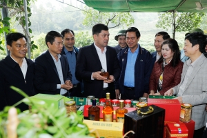 Bí thư Tỉnh ủy Bắc Ninh Nguyễn Hồng Thái thăm mô hình sản xuất nông nghiệp tiêu biểu