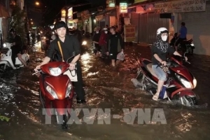 TP. HCM chủ động ứng phó triều cường vượt báo động 3