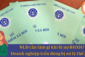 Hướng dẫn giải quyết chế độ BHXH cho người lao động bị doanh nghiệp nợ tiền đóng trước 1/7/2024
